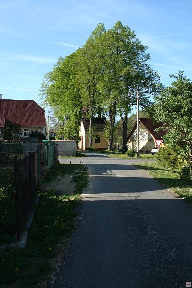 img00007.jpg