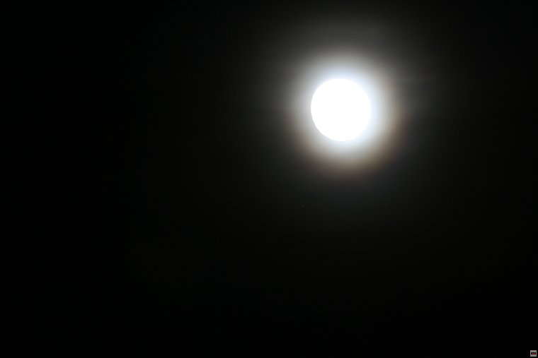 img00020.jpg