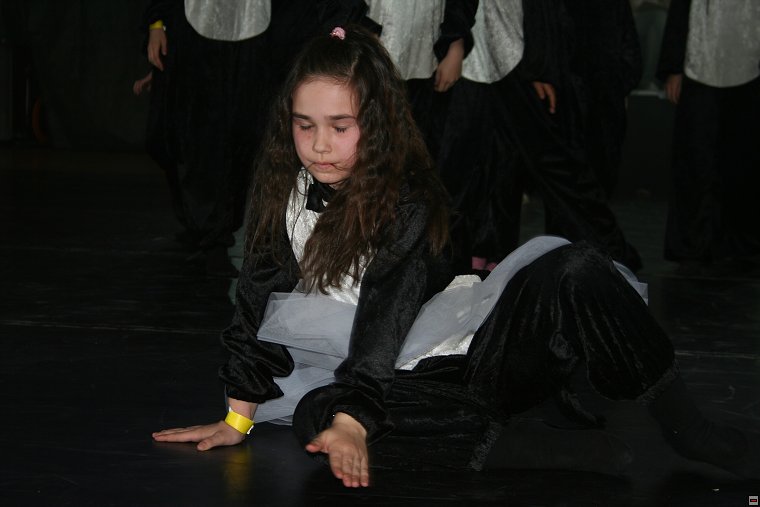 img00017.jpg