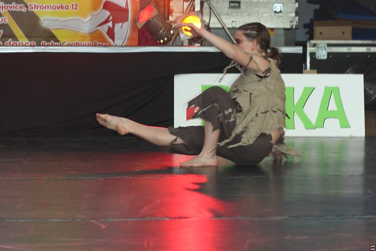 img00017.jpg