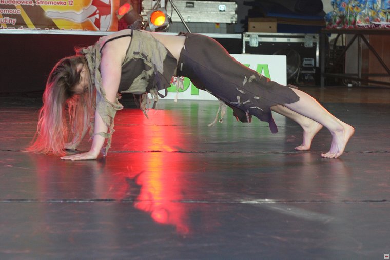 img00047.jpg